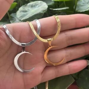 Stainless Steel Curved Crescent Moon Pendant Necklace 17.5”